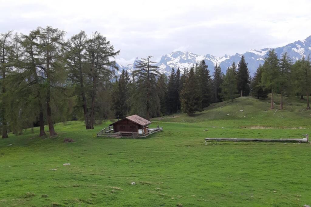 Comme Sur Un Nuage, Appartement Pour 4 Personnes Nendaz Exterior foto
